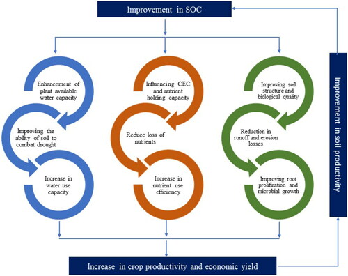 Figure 1. Soil quality enhancement by improving the soil organic carbon content (reconstructed from [Citation26]).