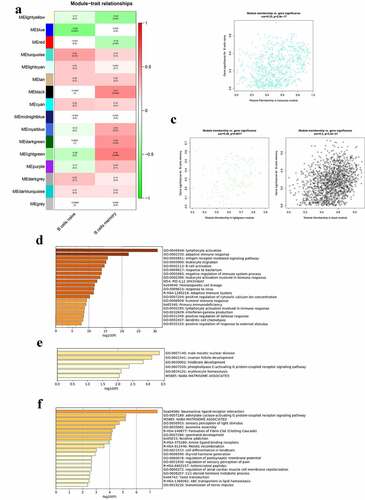 Figure 5. Co-expression modules mostly related to B cells in the parotid tissues in pSS. (a) Heatmap plot of the correlation between modules and B cells in the parotid tissue. (b) The gene significance for naïve B cells in the turquoise module. (c) The gene significance for memory B cells in the lightgreen (left) and black (right) modules. (d) Functional enrichment in the turquoise module. (e) Functional enrichment in the lightgreen module. (f) Functional enrichment in the black module