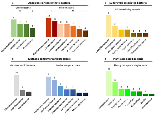 Figure 4. Taxonomic distribution of KaiBC carriers at family level: (a) anoxygenic photosynthetic green and purple bacteria (S: sulphur bacteria, NS: non-sulphur bacteria), (b) methanotrophic bacteria and methanotroph archaea, (c) sulphate reducing bacteria, (d) plant-growth promoting bacteria (PGPRs). The numbers represent the unique species where KaiB and KaiC homologs were observed.