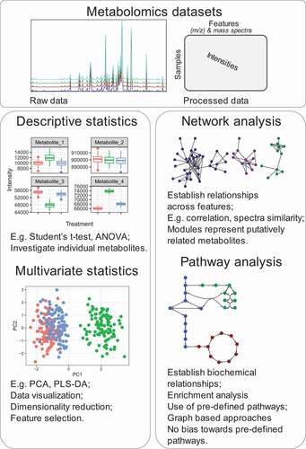 Figure 1. Graphical summary comparing different mass spectrometry based metabolomics data analysis strategies.