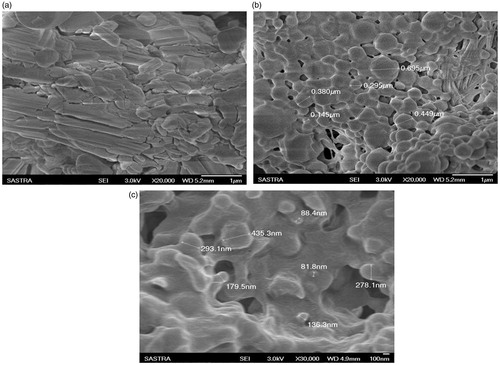 Figure 4. Scanning electron microscopy images. (a) ure Drug, (b) ACV-PCL nanoparticles, (c) Blank nanoparticles.