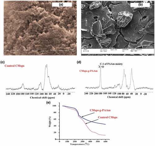 Figure 4. SEM image for (a) Control CMsps (b) CMsps-g-PAAm; C13 NMR spectrum (c) Control CMsps (d) CMsps-g-PAAm; TGA graph (e) Control CMsps and CMsps-g-PAA.