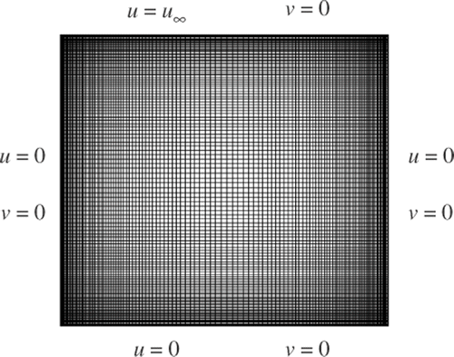 Figure 2. The computation grid with N = 15876 nodes and the boundary conditions.