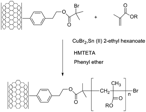 Figure 7. ATRP polymerization of acrylic monomers on the surface of SWCNT.