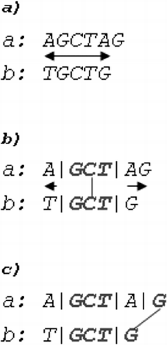 Figure 4. Identifying consistent hits for the samples AGCTAG and TGCTG: short samples (a), the first identified hit GCT derives two new consistent domains (b) and a single Guanine match is found in the consistent domain that follows GCT (c).