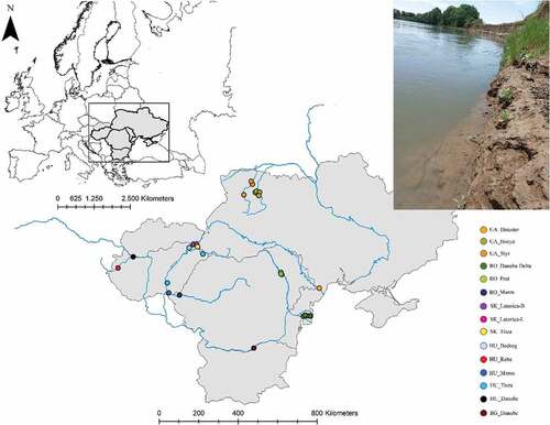 Figure 2. Map showing the distribution of the analyzed sampling locations. The photo in the upper right corner shows a typical P. longicauda habitat with steep clay banks (Maros River, Nădlac, Arad county, photo: Vaida R.).