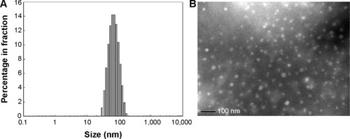 Figure 2 (A) Particle size distribution and (B) transmission electron micrograph of DendDP and DendGDP nanoparticles.Abbreviations: DendGDP, dendrimer-MPEG-DOX conjugate with GFLG peptide linkage; DendDP, dendrimer-MPEG-DOX conjugate; DOX, doxorubicin; MPEG, methoxy poly(ethylene glycol); GFLG, Gly-Phe-Leu-Gly.