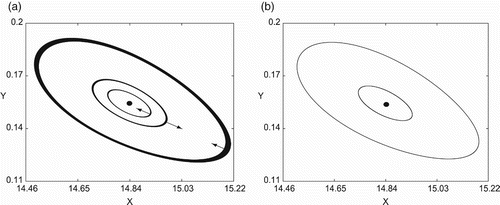 Figure 1. Two limit cycles in an HIV model [Citation18]: x˙=1−Dx−(B+A y/(y+C)) x y, y˙=(B+Ay/(y+C))xy−y when B=D=0.057, A=0.01846287, C=0.11969000: (a) three trajectories with moving directions indicated; and (b) two limit cycles with the inner unstable and outer stable.