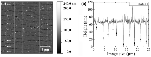 Figure 1. (a) AFM height image of the 50 nm Cu film at 16% strain with six lines from which the height profiles were taken. The white arrows indicate the intercept points with the cracks. (b) Corresponding height profile of Profile 1 from (a). The distances were measured between the cracks indicated by black arrows. No necks were observed in this film.