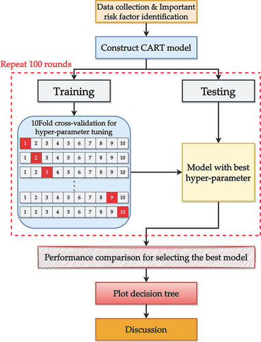 Figure 2 The model construction process.