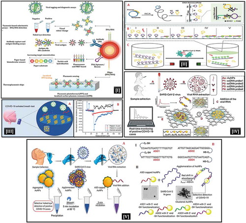 Figure 1. [I] Nanotechnology-based sensors for SARS-CoV-2 detection, involved in the development of platforms for viral tagging and nano-diagnostic assays (Abbreviations: Ab, antibody; FRET, Förster resonance energy transfer; LSPR, localized surface plasmon resonance; NPs, nanoparticles; PNA, peptide nucleic acid; PPT, photothermal therapy). (Reproduced with permission from Talebian et al. (2020) Copyright © 2020, Springer Nature Limited)