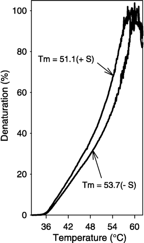 Figure 4 Sevoflurane increased GAPDH susceptibility to thermal denaturation. Heat-induced unfolding/aggregation of GAPDH (4.1 μM) was recorded as light scattering (25–65°C) at 450 nm in the presence or absence of sevoflurane at a ratio of 19000:1 (sevoflurane to GAPDH). The rate of temperature change was 0.5°C/min.