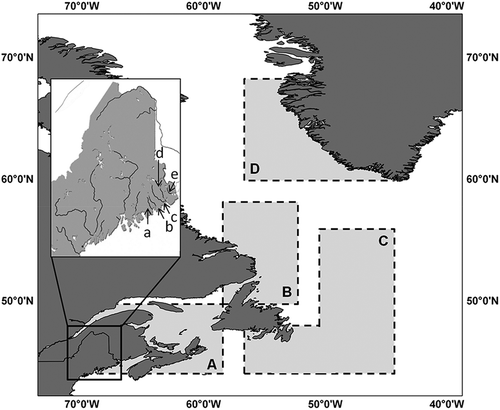 FIGURE 1. Areas used during the oceanic migration of Atlantic Salmon from rivers in eastern Maine. Rivers (inset) used for analysis were the Narraguagus River (a), Pleasant River (b), Machias River (c), East Machias River (d), and Dennys River (e). Light gray boxed areas represent areas used for temperature analysis during the early postsmolt migration period (A), the postsmolt fall nursery (B), the overwintering area (C), and the 2SW summer feeding grounds (D).