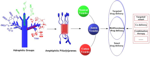 Scheme 1 Chemical structures of amphiphilic pillar[n]arenes.