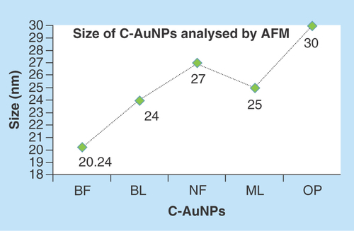 Figure 8.  Size of gold nanoparticles capped with BF, BL, NF, ML and OP analyzed by AFM.This figure depicts an effective C-AuNPs distribution with almost nil coagulation.AFM: Atomic force microscopy; AuNP: Gold nanoparticle; BF: Basil flowers; BL: Basil leaves; ML: Mentha leaves; NF: Neem flowers; OP: Orange peel.
