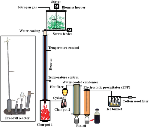 Figure 1. Schematic diagram of the fast pyrolysis unit.