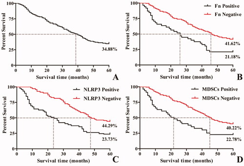 Figure 3. Kaplan–Meier survival curves of ESCC patients at 5 years after surgery. A: Five-year survival curve of patients with ESCC after surgery; B: Survival curves of patients with and without Fn infection; C: Survival curves of ESCC patients with and without NLRP3 expression; D: Survival curves of ESCC patients with and without MDSCs infiltration.