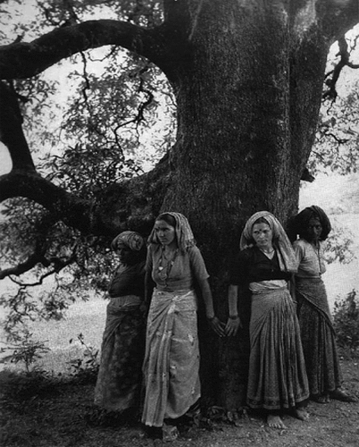 Figure 9. Chipko activists in the Himalayas embrace the tree (Singh Citation1994, Photograph. Sepia Eye).