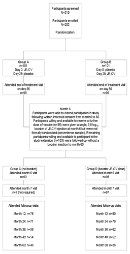 Figure 1 Participant disposition and reason for withdrawal at the end of the treatment phase (day 56) and at month 6, 7, 12, 24, 36, 48 and 60 for participants treated with a single 3.8 log10 dose of JE-CV and placebo with or without a booster dose of 3.8 log10 JE-CV at month 6. Treatment period withdrawals (to day 56): Group A: One Treated related adverse event (TRAE) (mild glomerulonephritis and anemia). Two military deployments/training. All three participants received JE-CV but not placebo. Group B: Two instances of protocol non-compliance. One participant with a protocol deviation received both JE-CV and placebo while one participant withdrawn for a reason in the “Other” category received only placebo. Second dose group withdrawals (to month 7): Five withdrawals—lost to follow-up. All participants received vaccine. Long term follow-up withdrawals: (1) One participant was withdrawn due to mouse brain derived, inactivated JE immunization administered between month 48 and month 60. This was required because the participant had no detectable JEV antibodies and was required to deploy to a JE endemic area. (2) A total of 125 participants did not attend the annual follow-up visit over 5 years, principally due to military deployments, leaving the service or posting outside the visitation range of the single center study site.