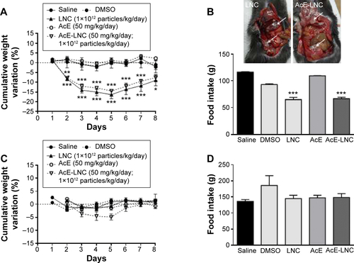 Figure S3 LNC or AcE-LNC induces toxicity in animals after intraperitoneal treatment.Notes: B16F10 cells (8×105/100 µL) were subcutaneously injected into dorsal region of C57Bl6 mice. After the tumors had reached ~90 mm3 (3 days), the animals were daily treated for 7 days. The animals received saline, LNC (1×1012 particles/day), AcE (50 mg/kg/day), AcE vehicle (DMSO), or AcE-LNC (50 mg/kg/day of AcE; 1×1012 particles/day) by intraperitoneal (A and B) or oral (C and D) route. Cumulative weight (A and C) and food intake (B and D) of animals were monitored daily during all treatment periods. Representative image of LNC and AcE-LNC agglomeration in abdominal cavity of animals is indicated by white arrows (B). The values are represented as mean ± SEM for ten different animals. Significant differences from saline (control) are *P<0.05, and ***P<0.001 assessed by one- or two-way analysis of variance followed by the Tukey’s post hoc test.Abbreviations: LNC, lipid-core nanocapsule; AcE-LNC, acetyleugenol-loaded lipid-core nanocapsule; AcE, acetyleugenol; DMSO, dimethyl sulfoxide; SEM, standard error of the mean.