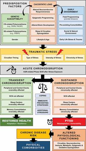Figure 1. Schematic model of posttraumatic chronodisruption as underlying biological pathway leading to PTSD