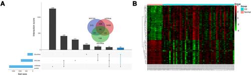 Figure 4 Identification of candidate overlapping mRNA. (A) Intersection of DEmRNAs, WGCNA modules, and miRwalk-predict. (B) Heatmap of overlapping mRNA.