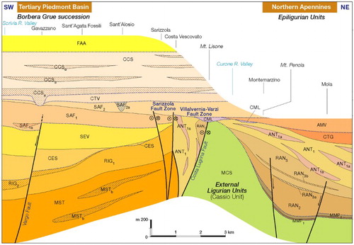 Figure 2. Stratigraphic cross-section showing the relationships between the Tertiary Piedmont Basin (modified from CitationGhibaudo et al., 1985) and the Northern Apennines (External Ligurian Units and Epiligurian Units) successions across the Villalvernia – Varzi Line (see text for details).