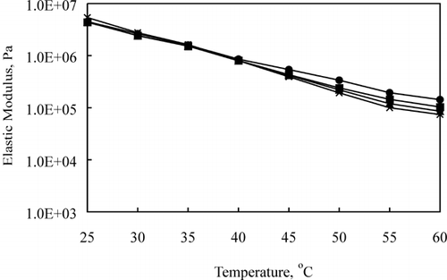 Figure 5. Effect of aging (•: 2, ▪: 4, ▴: 12, × : 24 wk) on elastic modulus (G ′) of 45.6% FDM Cheddar cheese during heating.