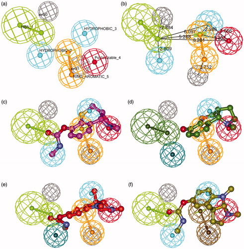 Figure 2. Details of the best pharmacophore model (a, b) and mapping of representative training set compounds to the pharmacophore model (c, d, e, f). (a) Spatial disposition of the pharmacophoric features. Hydrogen bond acceptor (HBA, green), ring aromatic (RA, orange), positive ionizable (PI, red), hydrophobic (HYD, cyan) and excluded volume (Xvol, gray). Weights: HBA_1 (3.18); HYD_2 (1.39); HYD_3 (2.58); PI_4 (1.99); RA_5 (1.99). (b) Distances between feature centers. (c) Mapping of the most active compound (15, IC50 8 nM); (d) Mapping of the least active compound (25, IC50 40000 nM); (e) Mapping of an eutomer (3aS)-(−)-physostigmine (1, IC50 28 nM); (f) Mapping of a distomer (3aR)-(+)-physostigmine (2, IC50 9900 nM). Dark-colored (dark green, dark blue, and brown) spheres indicate unmatched features.