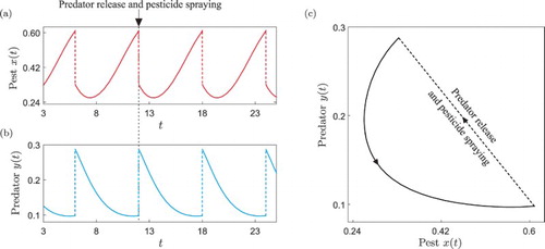 Figure 6. Periodic solution of the impulsive system (Equation15(15) u′(t)=f2(u(t),ω),s≠T,u(t+)=gCont(u(t−),ω),s=T(pesticide spraying and natural enemy release),(15) ) computed for the parameter values given in Table 1, and for γ=λ=1. Panels (a) and (b) show the time series of the pest (prey, red colour) and natural enemy (predator, blue colour) populations, respectively. The upper arrow indicates the pest control actions considered in the system. Panel (c) presents the phase plot of the periodic trajectory.