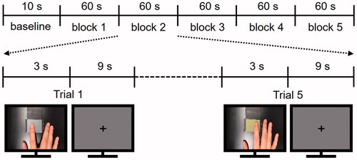Figure 1. Brief sketch of the fMRI experimental design and two frames from two of the five video clips which were used as visual roughness stimuli. Video clips show a right index fingertip moving from side to side for 3 seconds.