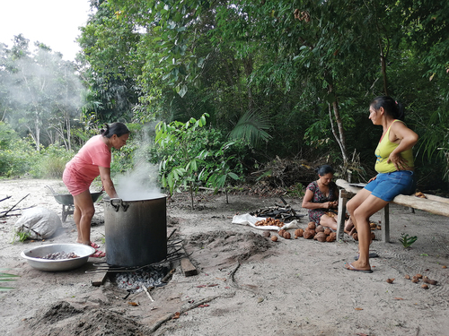 Figure 5. Collaborators preparing andiroba oil in a community of the Flona Tapajós conservation Unit.