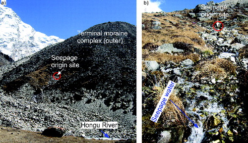 Figure 11. (a) Seepage site and outer slope of the terminal moraine dam and (b) close view of the seepage. Note the loose and unconsolidated moraine dam (a) and the amount of seepage water (b).