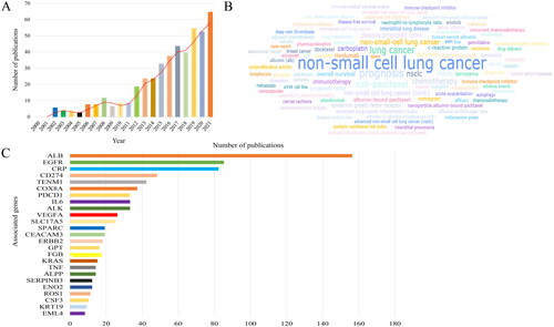 Figure 2. Bibliometric analysis of albumin and non-small cell lung cancer. (A) Number and trend of annual publications about albumin and non-small cell lung cancer. (B) Keyword frequency analysis of albumin and non-small cell lung cancer. (C) Analysis of associated genes of albumin and non-small cell lung cancer.
