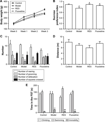 Figure 2 Effect of RES on the body weight and behavior of the CUMS rats.