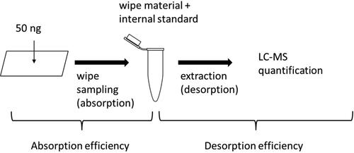 Figure 1. Overview of crucial steps in the sample work-up where potentially the substances could be lost either due to that they were not fully absorbed to the wipe tissue or that they were not fully desorbed at the extraction step and thus not leading to a 100% recovery.
