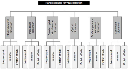 Figure 2 Structure of “nanobiosensor for virus detection” segmentation.