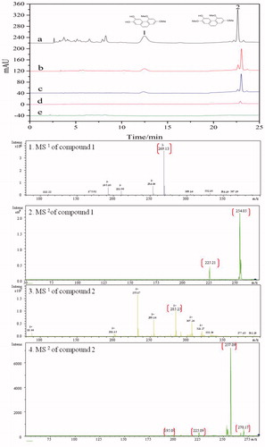 Figure 5. Typical HPLC chromatograms of solutions S0 (a), the eluent solutions S1 (the first eluent (b), the second eluent (c) and the third eluent (d)) and the blank eluent S2 (e) and the necessary MS1/MSCitation2 informations (1, 2, 3, 4) of the specifically bound inhibitors to α-AMGO microreactors. The inset were the chemical structurals of trapped ligands. Conditions were as reference 22.