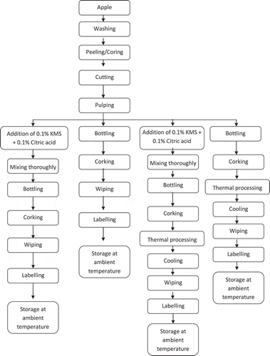 Figure 1. Flow chart for preparation of apple pulp