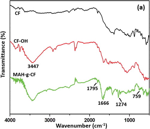 Figure 2. FTIR spectra of CF, CF-OH and MAH-g-CF in the optical range of 4000–500 cm−1.