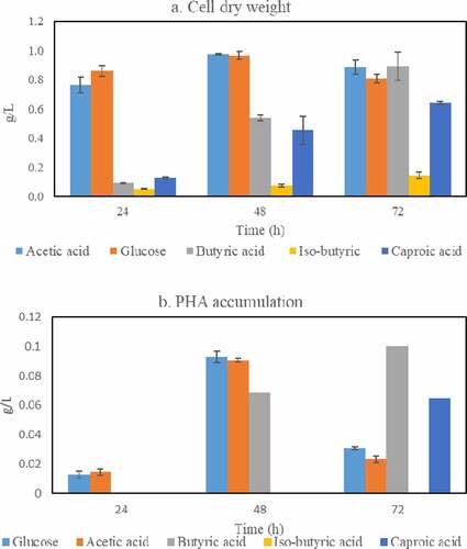 Figure 4. Cell mass (a) and PHAs (b) concentrations obtained during cultivation of Bacillus megaterium in medium containing glucose, acetic acid, butyric acid, iso-butyric acid, and caproic acid as single carbon sources