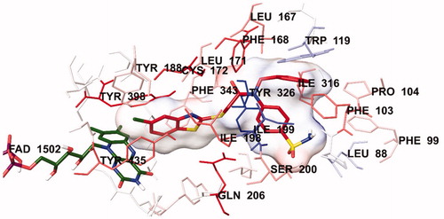 Figure 6. The van der Waals interaction of compound 4i with active region of hMAO-B. The active ligand has a lot of favourable van der Waals interactions (red and pink).