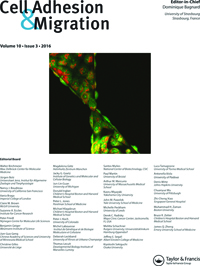 Cover image for Cell Adhesion & Migration, Volume 10, Issue 3, 2016