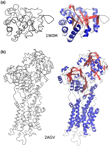 Figure 1. RaFoSA improves visualization of molecules when only coarse-grained information is available. (a) 1W0M, and (b) 2AGV are protein molecules arranged in an apparent order of increasing SS complexities. The visualizations on the left side (when all-atom and SS information are lacking) are not helpful and do not allow one to clearly differentiate (more structurally stable) sheets from (less structurally stable) coils. In contrast, the visualizations on the right side when RaFoSA provides SS information are more useful/helpful and are visually appealing. With the SS assigned, one can see the residues that form more structurally stable sheets (red) and helixes (blue), or less structurally stable coils (black).