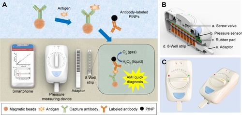 Figure 1 (A) Schematic of SPDS. (B) The structure profile of pressure measuring device. (C) The images of developed pressure measuring device.Abbreviations: SPDS, Smartphone-Assisted Pressure-Measuring-Based Diagnosis System; PtNPs, platinum nanoparticles; AMI, acute myocardial infarction.