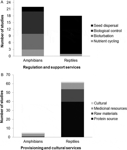 Figure 2. Number of studies addressing Neotropical amphibians or reptiles, categorized by use value. A. Indirect-use services, necessary for the formation and renewal of natural resources. B. Direct-use services from which people directly obtain goods.