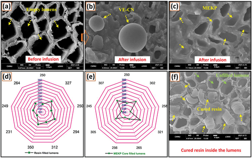 Figure 4. Abaca fiber lumens (a) before resin infusion, (b) after core-infusion of VE-CN, and (c) after core-infusion of MEKP. Number of lumens filled with (d) resin and (e) catalyst in each fiber. (f) Cured resin inside the fiber lumens and unfilled lumens.