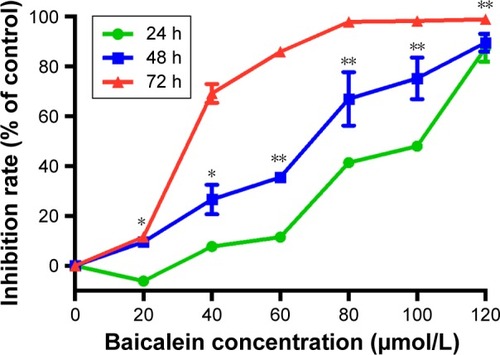 Figure 2 Baicalein inhibits the proliferation of MDA-MB-231 cells.