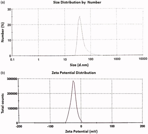 Figure 3. Size distribution curve (a) and Zeta potential distribution curve (b) of MWCNTs-COOH by particle size analyzer (PSA, Zetasizer, Malvem, UK).