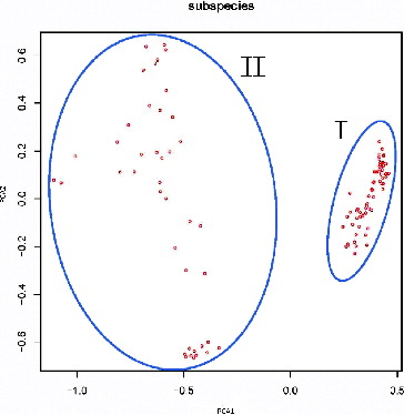 Figure 1. PCA of 108 ramie varieties, based on SSR and SRAP marker polymorphism. Note: PCA1 and PCA2 in the axis represent the first and the second principal components, respectively. The numbers I and II on the figure represent the first and the second cluster of the accession, respectively.